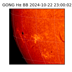 gong - 2024-10-22T23:00:02