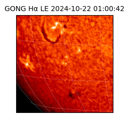 gong - 2024-10-22T01:00:42