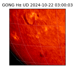 gong - 2024-10-22T03:00:03