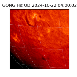 gong - 2024-10-22T04:00:02