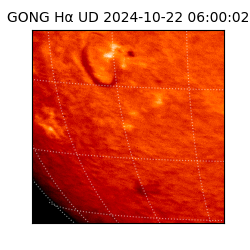 gong - 2024-10-22T06:00:02