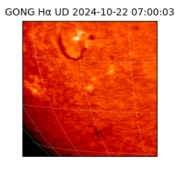 gong - 2024-10-22T07:00:03