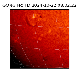 gong - 2024-10-22T08:02:22