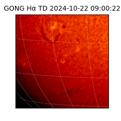 gong - 2024-10-22T09:00:22