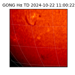 gong - 2024-10-22T11:00:22