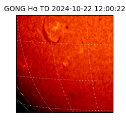 gong - 2024-10-22T12:00:22