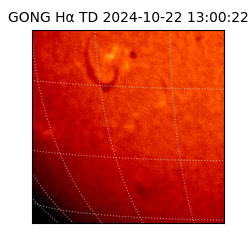 gong - 2024-10-22T13:00:22