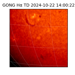 gong - 2024-10-22T14:00:22