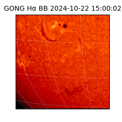 gong - 2024-10-22T15:00:02