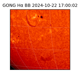 gong - 2024-10-22T17:00:02