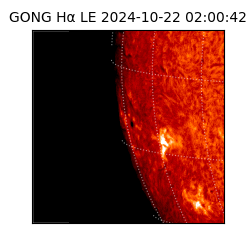 gong - 2024-10-22T02:00:42