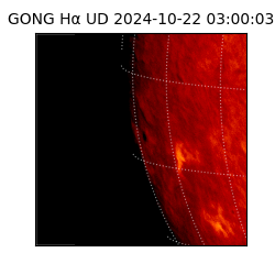 gong - 2024-10-22T03:00:03