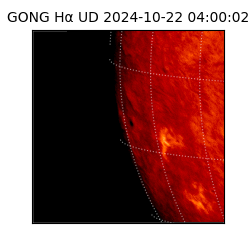 gong - 2024-10-22T04:00:02