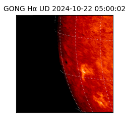 gong - 2024-10-22T05:00:02