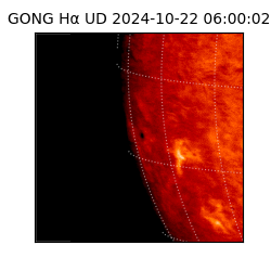 gong - 2024-10-22T06:00:02