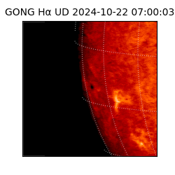 gong - 2024-10-22T07:00:03