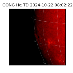 gong - 2024-10-22T08:02:22
