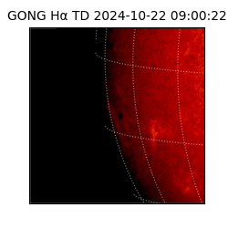 gong - 2024-10-22T09:00:22