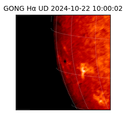 gong - 2024-10-22T10:00:02