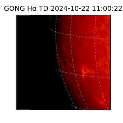 gong - 2024-10-22T11:00:22