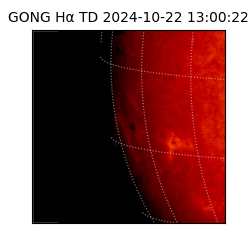 gong - 2024-10-22T13:00:22