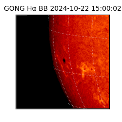 gong - 2024-10-22T15:00:02