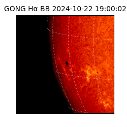 gong - 2024-10-22T19:00:02