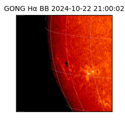 gong - 2024-10-22T21:00:02