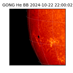 gong - 2024-10-22T22:00:02