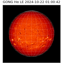 gong - 2024-10-22T01:00:42