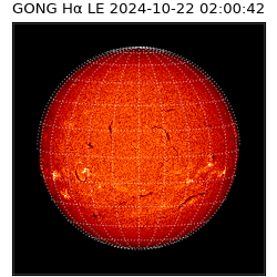 gong - 2024-10-22T02:00:42