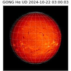 gong - 2024-10-22T03:00:03