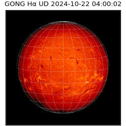 gong - 2024-10-22T04:00:02