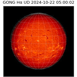 gong - 2024-10-22T05:00:02