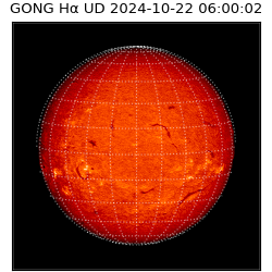 gong - 2024-10-22T06:00:02