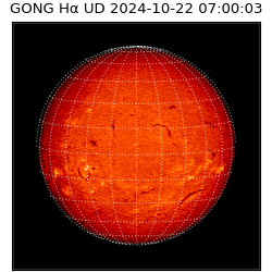 gong - 2024-10-22T07:00:03