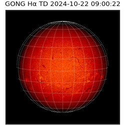 gong - 2024-10-22T09:00:22
