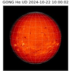 gong - 2024-10-22T10:00:02