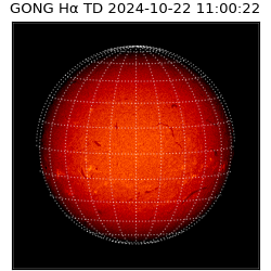 gong - 2024-10-22T11:00:22