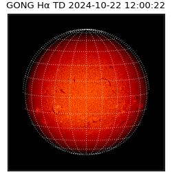 gong - 2024-10-22T12:00:22