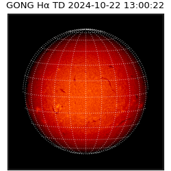 gong - 2024-10-22T13:00:22