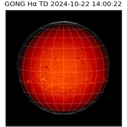 gong - 2024-10-22T14:00:22