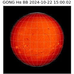 gong - 2024-10-22T15:00:02