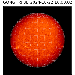 gong - 2024-10-22T16:00:02