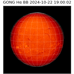 gong - 2024-10-22T19:00:02