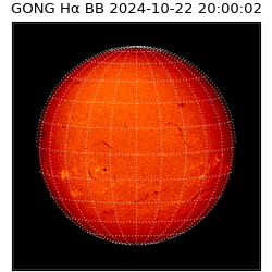 gong - 2024-10-22T20:00:02