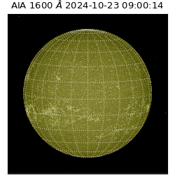 saia - 2024-10-23T09:00:14.126000