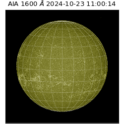 saia - 2024-10-23T11:00:14.126000