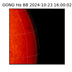 gong - 2024-10-23T16:00:02