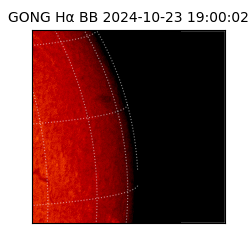 gong - 2024-10-23T19:00:02